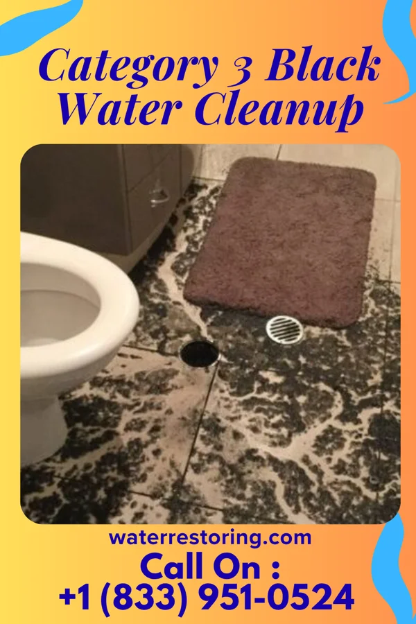 Category 3 Black Water Cleanup in Bear Valley Springs, CA